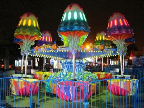 自控飛機類—逍遙水母