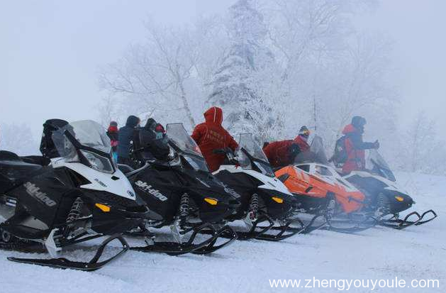 冬天可以玩的游樂設備 冬天可以玩的游樂設備