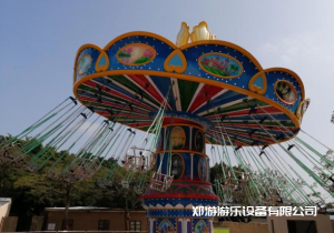 適合主題游樂園的大型游樂設備有哪些？